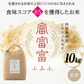 【ふるさと納税】 令和8年度　新米 富山県ブランド米 富富富 玄米 10kg ふふふ ブランド米 国産 米 お米 日本米 ギフト 贈り物 備蓄 防災 食品 陽咲玲 はるざれ F6T-1054