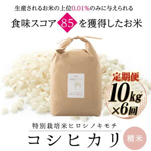 yӂ邳Ɣ[Łzys\zy6zʍ͔| RVqJ qVmL`  10kg v60kg uh  Y   { Mtg 蕨 ~ h Hi z ͂邴 F6T