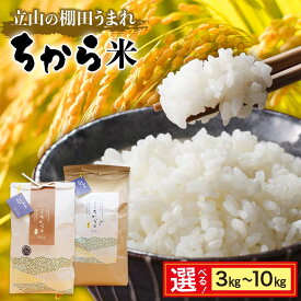 【ふるさと納税】＼選べる容量・回数／ 立山のちから米 コシヒカリ 3kg ／ 5kg ／ 10kg こしひかり 銘柄米 ブランド米 国産 米 お米 日本米 ギフト 贈り物 備蓄 防災 食品 F6T-908var