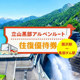 【ふるさと納税】関電トンネル電気バス（扇沢駅⇔黒部ダム）往復優待券 小人 F6T-1024