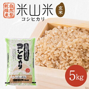 yӂ邳Ɣ[ŁzR^͕ăRVqJ(ĎR)5kg×1܁y1364713z