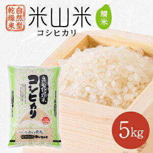 yӂ邳Ɣ[ŁzR^͕ăRVqJ(ĎR)5kg×1܁y1364720z