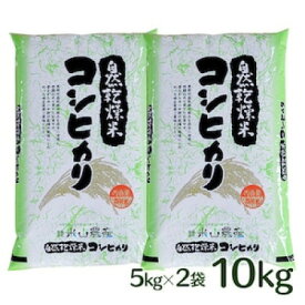 【ふるさと納税】自然型乾燥特栽米コシヒカリ(米山米)精米5kg×2袋【1364721】