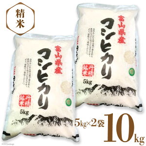 yӂ邳Ɣ[Łz  RVqJ  10kg ( 5kg × 2 ) [TCX xR  34310558]  ͂  Ђ xRY 10L 5L