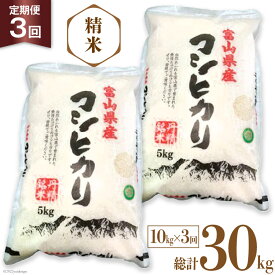 【ふるさと納税】3回 定期便 お米 コシヒカリ 精米 10kg×3回 総計30kg [サンライス青木 富山県 朝日町 34310018] 米 ごはん 白米 こしひかり 富山県産 30キロ