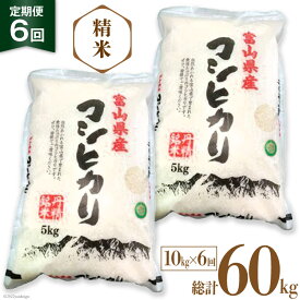 【ふるさと納税】6回 定期便 お米 コシヒカリ 精米 10kg×6回 総計60kg [サンライス青木 富山県 朝日町 34310019] 米 ごはん 白米 こしひかり 富山県産 60キロ