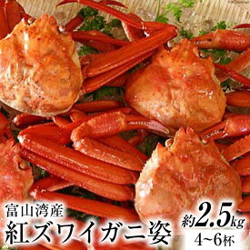 【ふるさと納税】 富山湾産 紅 ズワイガニ 姿 ボイル 約2.5kg（4～6杯） [寺田鮮魚店 富山県 朝日町 34310445] かに カニ 蟹 かにみそ カニ味噌 蟹味噌 新鮮 冷蔵 朝捕れ