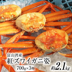 【ふるさと納税】 富山湾産 紅 ズワイガニ 姿 ボイル 約700g×3杯 [寺田鮮魚店 富山県 朝日町 34310446] かに カニ 蟹 かにみそ カニ味噌 蟹味噌 新鮮 冷蔵 朝捕れ