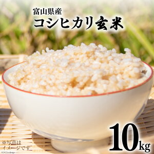 yӂ邳Ɣ[Łz  ߘa7N RVqJ  10kg [AOR xR  34310565]   Ђ xR _    R
