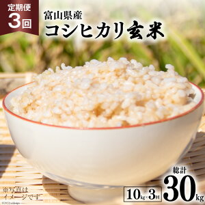 �y�ӂ邳�Ɣ[�Łz 3�� ����� �� �R�V�q�J�� ���� 10kg ×3�� ���v 30kg [�A�O�����R �x�R�� ������ 34310433] ���� �������� �����Ђ��� ���� ���͂� �x�R���Y ���ʌ��� �_�� ����