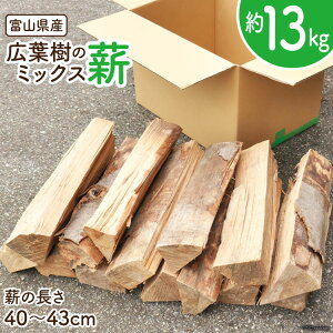 yӂ邳Ɣ[Łz d Lt ~bNXd 13kg 1{40`43cm [VXёg xR  34310329] 1  i JV AEghA o[xL[ BBQ Lv dXg[u  