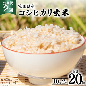 �y�ӂ邳�Ɣ[�Łz 2�� ����� �� �R�V�q�J�� ���� 10kg ×2�� ���v 20kg [�A�O�����R �x�R�� ������ 34310432] ���� �������� �����Ђ��� ���� ���͂� �x�R���Y ���ʌ��� �_�� ����