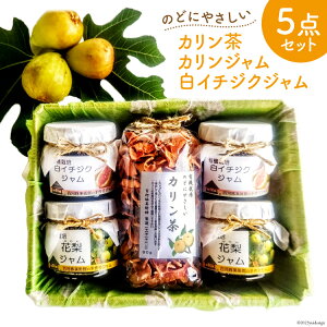 yӂ邳Ɣ[Łz W (J C`WN 150ml×e2 v4) & J 80g Zbg [S͓ؔp xR  34310330] W   Hi