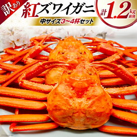 【ふるさと納税】 【期間限定発送】 【漁師厳選】 訳あり 紅ズワイガニ ボイル済 中サイズ3〜4杯 計1.2kg前後 [聖徳丸 富山県 朝日町 34310512] 海鮮 魚介類 カニ ベニズワイガニ 紅ズワイ ベニズワイ 紅ズワイ蟹 ボイル 冷蔵 ご褒美