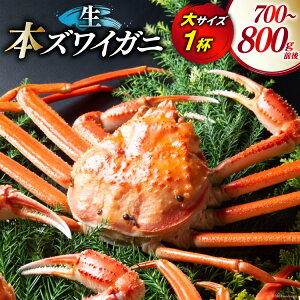 yӂ邳Ɣ[Łz yԌ蔭z ytIz {YCKj TCY1t (700g`800gO) [ xR  34310514] CN  Jj YCKj 킢I YCI 킢 YC 