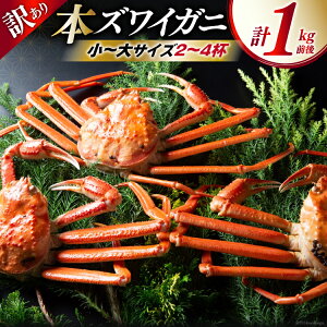 yӂ邳Ɣ[Łz yԌ蔭z ytIz 󂠂 {YCKj {C 2`4t v1kgO [ xR  34310515] CN  Jj YCKj 킢I YCI 킢 Y