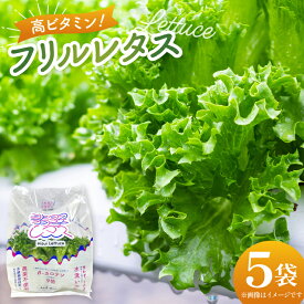 【ふるさと納税】 高ビタミン フリルレタス 100g 5袋 計500g [PBS 富山県 朝日町 34310474] 水耕栽培 レタス
