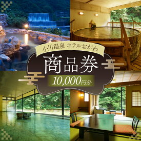 【ふるさと納税】 商品券 小川温泉 ホテルおがわ 1000円 10枚 計 10000円 [小川温泉開発 富山県 朝日町 34310495] 1万円 入浴券 宿泊 食事 旅行 温泉