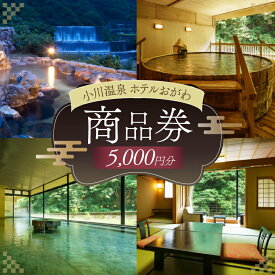 【ふるさと納税】 商品券 小川温泉 ホテルおがわ 1000円 5枚 計 5000円 [小川温泉開発 富山県 朝日町 34310496] 入浴券 宿泊 食事 旅行 温泉