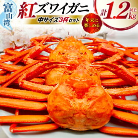 【ふるさと納税】 【選べる発送月】 カニ ベニズワイ 冷凍便 中サイズ 3杯 総計1.2kg以上 [聖徳丸 富山県 朝日町 34310555] かに 蟹 年内配送 紅ズワイガニ ベニズワイガニ 紅ずわいがに