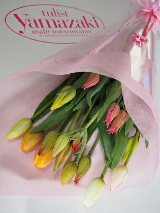 楽天市場 ふるさと納税 チューリップ切り花 本 富山 朝日町 生花 花束 花束 花 チューリップ切り花 ギフト お届け 22年1月上旬 4月上旬 富山県朝日町