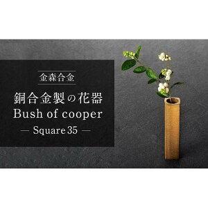 yӂ邳Ɣ[Łz@\IȍHƕi Ԃ̂ ƂĂ̔iBush of copper / Squarej | t[AWg  Ԋ fUC _ Mtg Zbg ΐ 