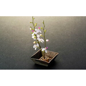 yӂ邳Ɣ[ŁzԂ݂݂I ĵȂRƋ Ղ̃ZbgiSTCYj | ΐ  S  S k k kx