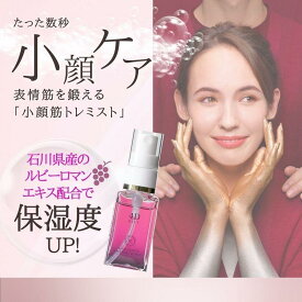 【ふるさと納税】FACE MAKE 4D MIST（フェイスメイクフォーディーミスト）30ml 1本 | スキンケア 化粧品 コスメ 美容 人気 おすすめ 送料無料