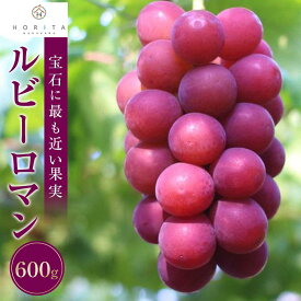 【ふるさと納税】【2026年 先行予約】ルビーロマン　600g | 葡萄 ぶどう ブドウ フルーツ 果物 くだもの 食品 人気 おすすめ 送料無料