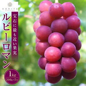 yӂ邳Ɣ[Łzy2026N s\zr[} 1kgi500g×2[j |  Ԃǂ uhE t[c ʕ  Hi lC  
