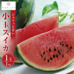 yӂ邳Ɣ[Łzyr[Ly[{zy2026N6{`zys\zʃXCJ 1kgi1ʁj | t[c ʕ   Hi  s Â W[V[ ċG 