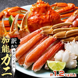 【ふるさと納税】【予約受付】【訳あり】金沢港より直送！ボイル加能ガニ 2杯セット | 石川 金沢 加賀百万石 加賀 百万石 北陸 北陸復興 北陸支援