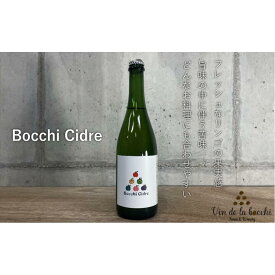【ふるさと納税】Bocchi Cidre（ボッチ・シードル） 750ml×1本 | シードル お酒 さけ 人気 おすすめ 送料無料 ギフト