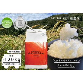 【ふるさと納税】【6ヶ月定期便】【お米番付優秀賞受賞農家】日本一粒の大きいお米『いのちの壱』白米20kg×6回 | 金沢市 お米 いのちの壱 おすすめ 人気 送料無料