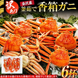 yӂ邳Ɣ[Łzy󂠂z `蒼I {C Kj 6tZbg 䥂 ① 2025N | 킯 N I  ZCRKj  YCKj  s[g {C  