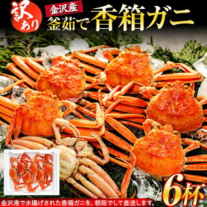 yӂ邳Ɣ[Łzy󂠂z `蒼I {C Kj 6tZbg 䥂 ① 2025N | 킯 N I  ZCRKj  YCKj  s[g {C  