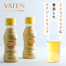 【ふるさと納税】【ミトコンドリア活躍飲料】VATEN バテン PET 100ml×10本 | まとめ買い 健康維持 毎日の健康 活力サポート 機能性飲料 健康飲料 手軽 持ち運び 小容量 ドリンク 健康サポート 父の日 母の日 人気 おすすめ 送料無料