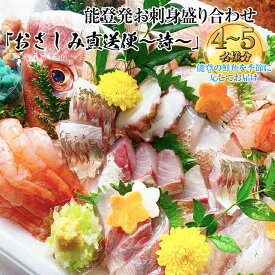 【ふるさと納税】【能登半島地震復興支援】能登産 お刺身盛り合わせセット「おさしみ直送便～詩～」4～5名様分 ｜生 魚介 海鮮 さしみ 冷蔵 詰め合わせ セット 盛り合わせ 盛り付け 日本海 海の幸 シーフード カット済み 直送 能登湾 能登 復興 復興支援 石川県 七尾市