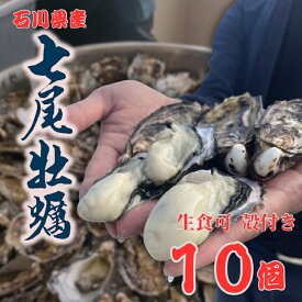 【ふるさと納税】七尾牡蠣10個入り ※北海道・沖縄・離島への配送不可