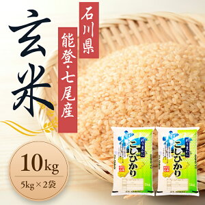 yӂ邳Ɣ[Łzy\onkxzyIׂzV ߘa7NY ΐ쌧\oYЂ 10kg i5kg×2܁j b  V  5kg 5L 10kg 10L RVqJ 