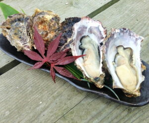 【ふるさと納税】殻付能登かき(1斗缶)