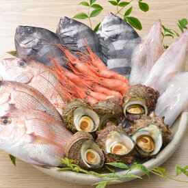 楽天市場 鮮魚の通販