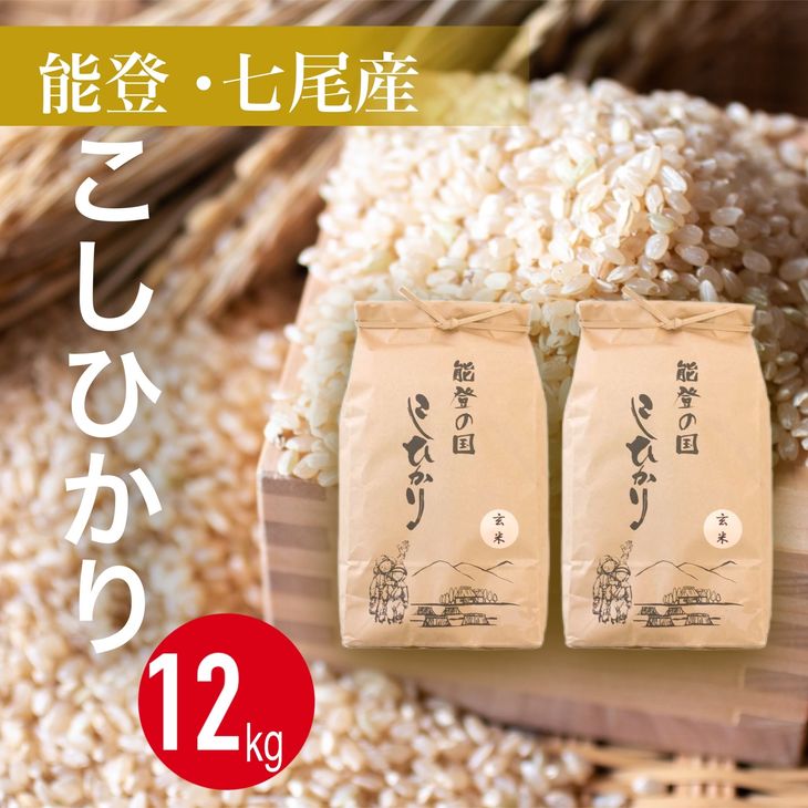 新米！令和五年度新潟県産コシヒカリ 玄米10kg - 米
