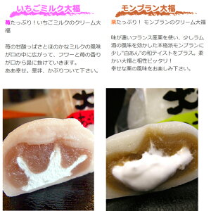 【ふるさと納税】のと情熱大福20個入