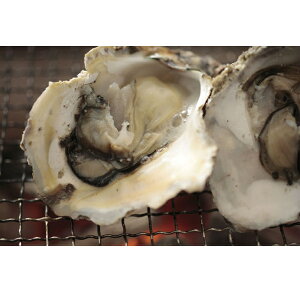 【ふるさと納税】能登産岩牡蠣(2.5kgセット/8〜10個入)