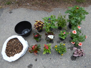 【ふるさと納税】季節の寄せ植えセット