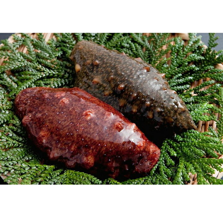 楽天市場 ふるさと納税 魚介類 能登なまこ贅沢セット 赤なまこ酢1g 2袋 青なまこ酢1g 2袋 このわたいくら醤油漬け100g 1本 23年2月より順次発送 石川県七尾市