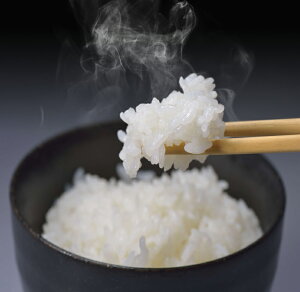 ふるさと納税,石川県,七尾市,能登,お米,こしひかり,定期便,5kg×2袋×3回,合計30kg