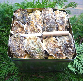 【ふるさと納税】【能登半島地震復興支援】魚介類 牡蠣 能登かき殻付き・加熱用・一斗缶［約80～100個］｜牡蠣 カンカン焼き カキ かき 加熱用 カキフライ 海鮮 魚介 国産 石川県 七尾市 能登 復興