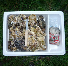 【ふるさと納税】【能登半島地震復興支援】魚介類 牡蠣 能登かきむき身と殻付きセット・加熱用［むき身450g・殻付20～25個］｜牡蠣 むき身 かき カキ 加熱用 カキフライ 牡蠣飯 海鮮 魚介 国産 石川県 七尾市 能登 復興
